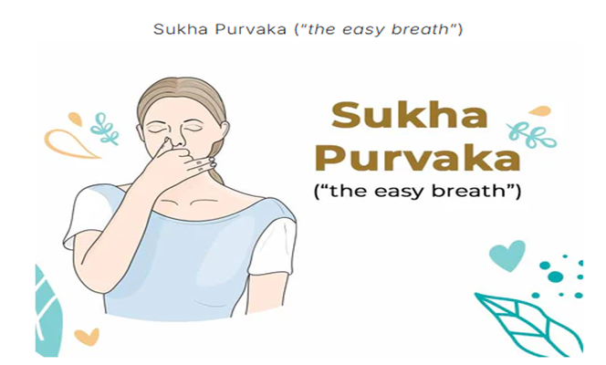 wellness rituals for a healthier life, Person practicing pranayama breathing for stress relief