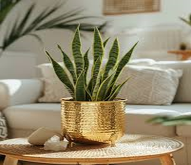 Fluted skirt vase styled in a home entryway corner, corners guests notice first